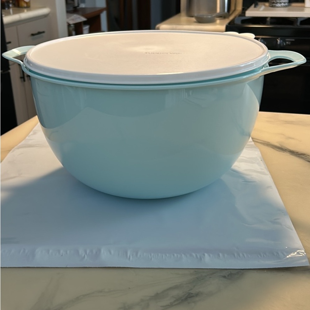 Tupperware Thatsa MEGA BOWL 42c capacity
